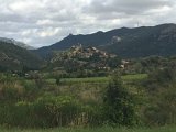 IMG_7335