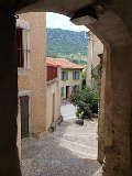 IMG_7353