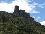 IMG_7356