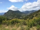 IMG_7358