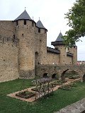 IMG_7203