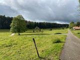 IMG_4991
