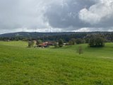 IMG_4992
