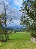 IMG_4994