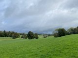 IMG_4995