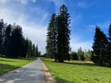 IMG_4996