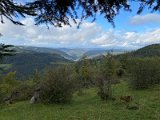 IMG_5010
