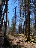 IMG_5767