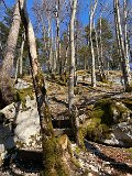 IMG_5769