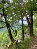IMG_6415