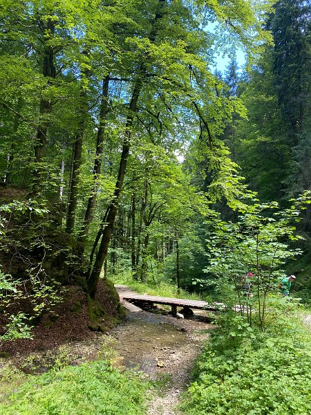 IMG_6627.JPEG - Combe Tabeillon