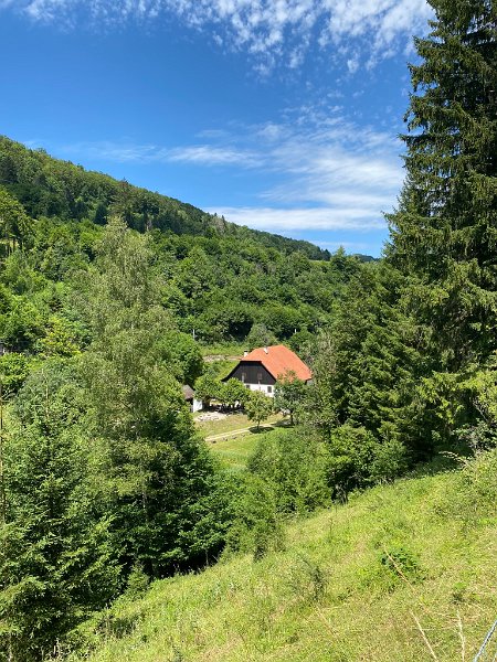 IMG_6632.JPEG - Ferme de la Combe Tabeillon