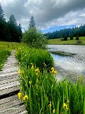 IMG_6380