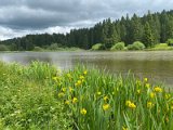 IMG_6384