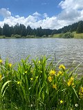 IMG_6388
