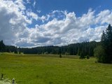 IMG_6407