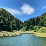IMG_6625