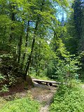 IMG_6627