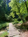 IMG_6629
