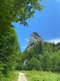 IMG_6630