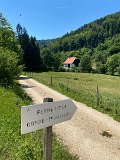 IMG_6633