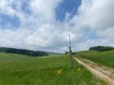 IMG_6290