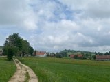 IMG_6291