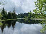 IMG_6305
