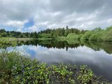 IMG_6307