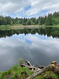 IMG_6308