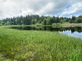 IMG_6310
