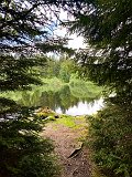 IMG_6311