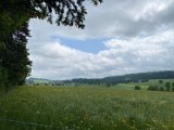 IMG_6282