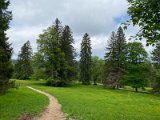 IMG_6294