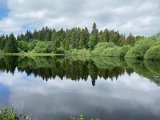 IMG_6306