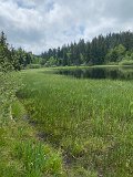 IMG_6309