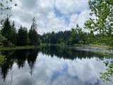 IMG_6312