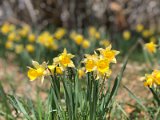 IMG_2160