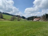 IMG_6035