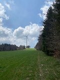 IMG_6041