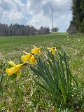 IMG_6044