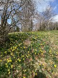 IMG_6047