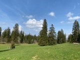 IMG_6058