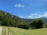 IMG_7106
