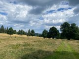 IMG_6902