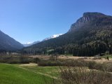 IMG_5506