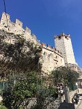 IMG_5455