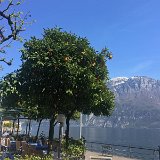 IMG_5484