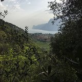 IMG_5342