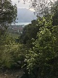 IMG_5344